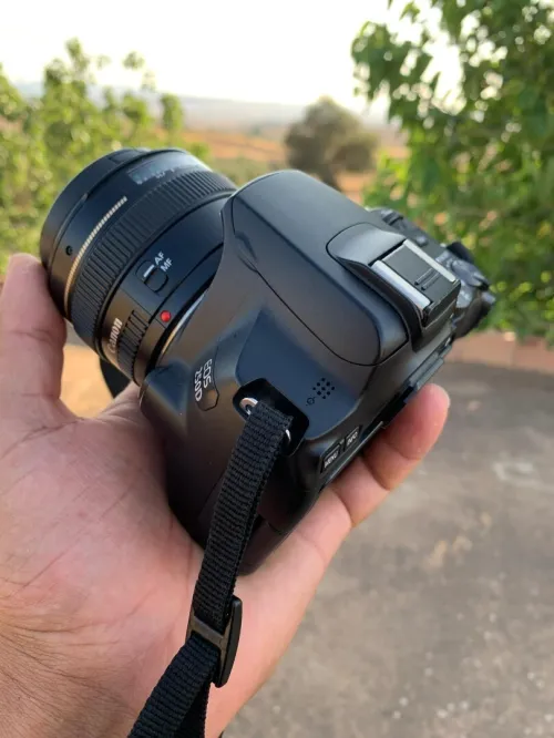 canon 250 d  les click 8 k avec objectif 50 mm 1.8 