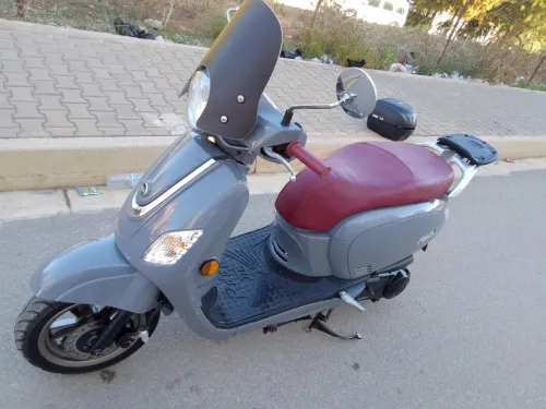 Sym Fiddel 3 2024