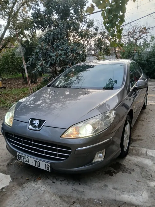 Peugeot 407 2010 Full options