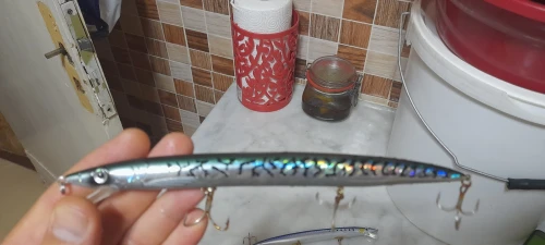 leurres de pêche spinning 