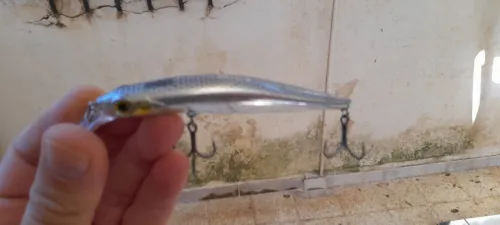 leurres de pêche spinning 