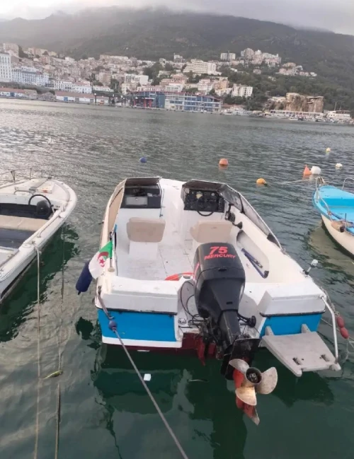 Bateau Hors-bord