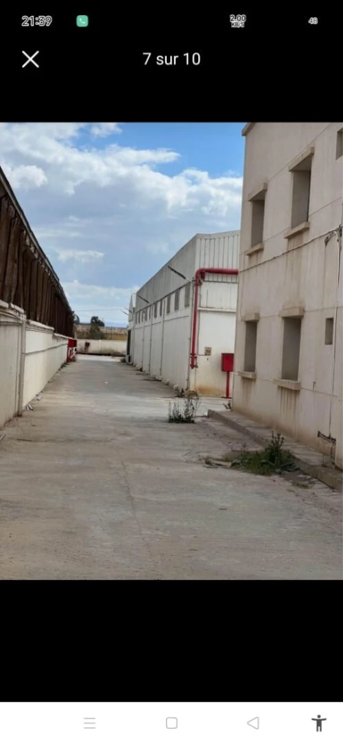 Vente Hangar - Usine Oran Es senia