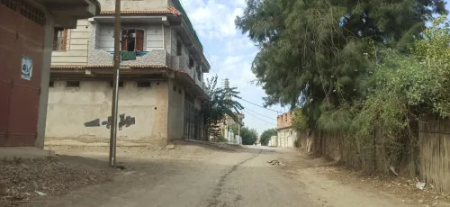 Vente Terrain Blida Ouled selama