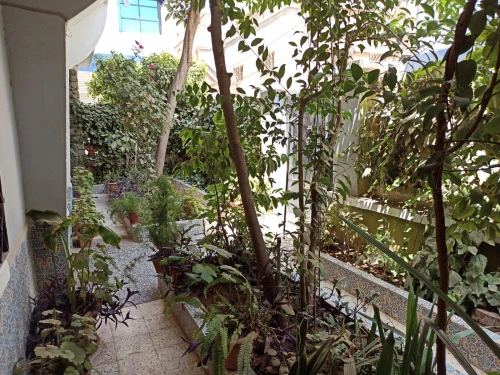 Vente Villa Tiaret Tiaret