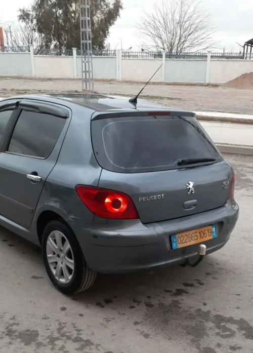 Peugeot 307 2006 Oxygo