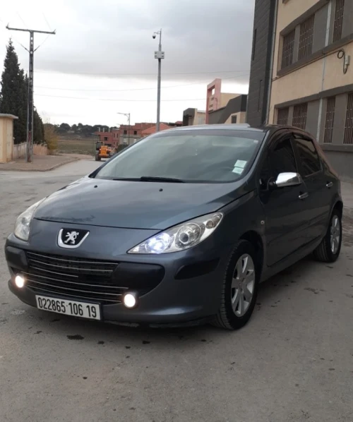 Peugeot 307 2006 Oxygo