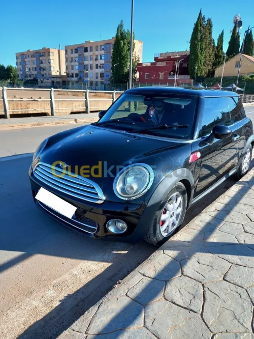Mini D 2012 