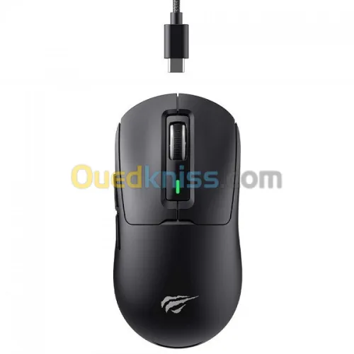 HAVIT MS969 SE 3 MODE PROGRAMMABLE