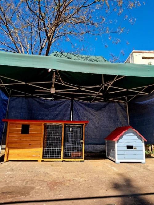 niche et cage pour chien et chat