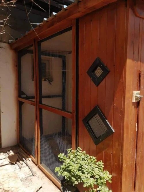 cage et niche pour chien  
