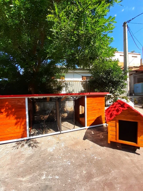 cage et niche pour chien  
