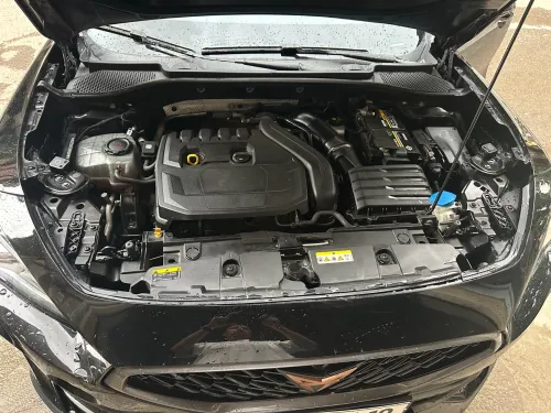 Seat cupra Cupra  2021 