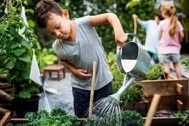 Hobby Kids' Camp - Session d'été pour enfants