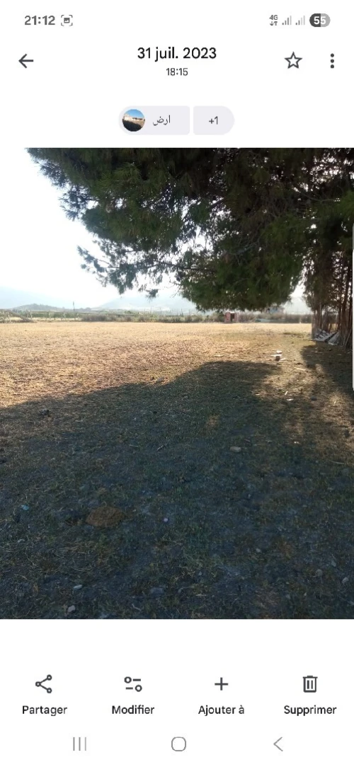 Vente Terrain Oum El Bouaghi Ain mlila