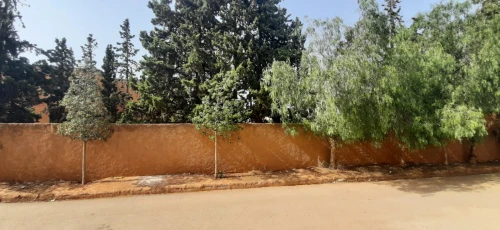 Vente Villa Aïn Témouchent Chaabet el ham