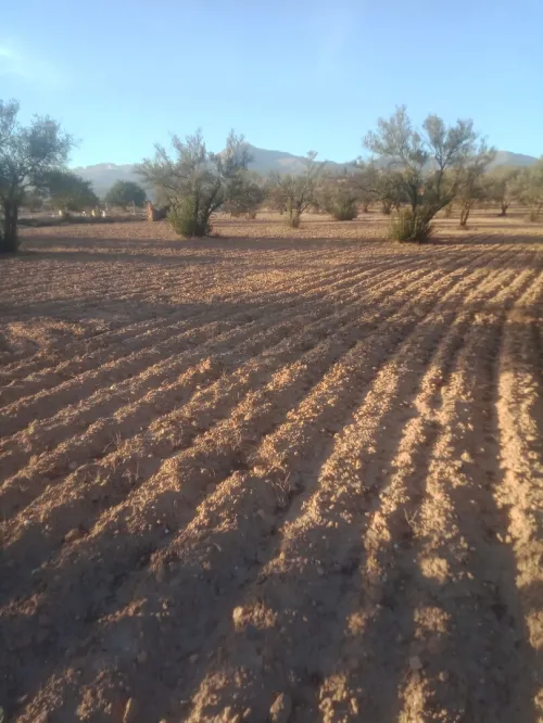 Vente Terrain Bouira Ath mansour taourirt