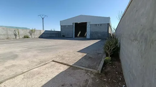 Location Hangar - Usine Sétif Ouled sabor