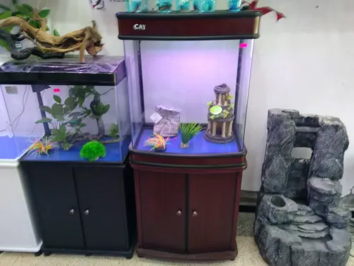 akwarium