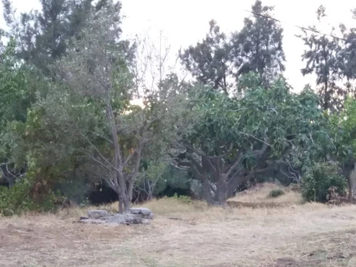 Vente Villa Tizi ouzou Makouda