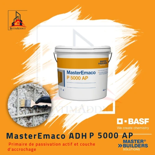 MASTEREMACO P 5000 AP- PRIMAIRE DE PASSIVATION ACTIF ET COUCHE D'ACCROCHAGE 1KG
