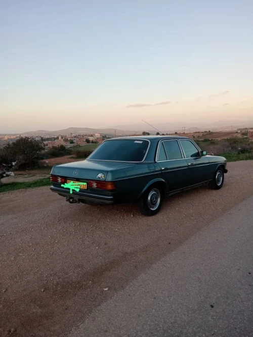 Mercedes W123 1980 