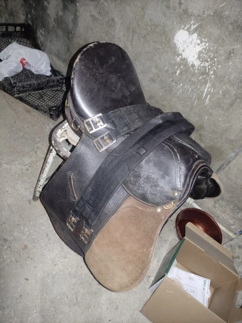 Selle de cheval سرج