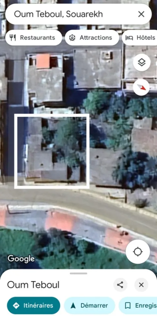 Vente Terrain El Tarf Raml souk souarekh