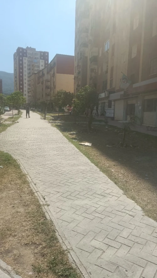 Vente Appartement F3 Blida Bouinan