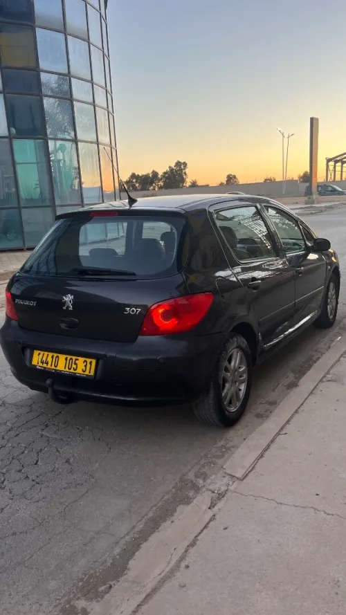 Peugeot 307 2005 307