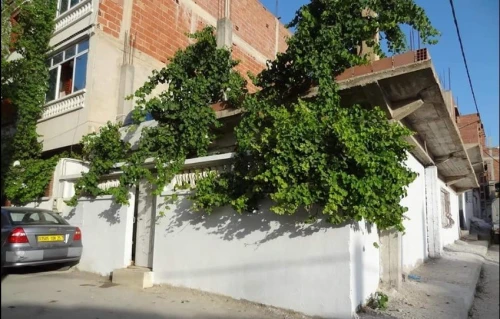 Vente Villa Constantine El khroub
