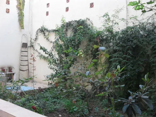 Vente Villa Oran El Kerma