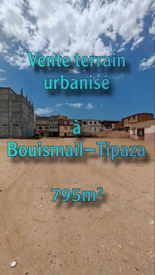 Vente Terrain Tipaza Bou ismail