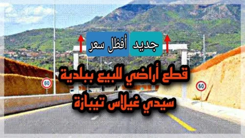 Vente Terrain Tipaza Sidi ghiles