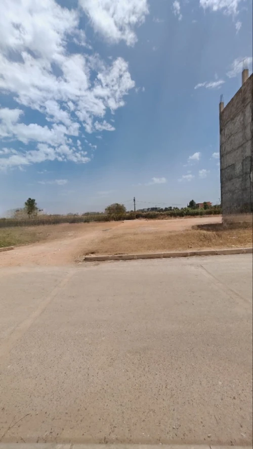 Vente Terrain Tipaza Bou ismail