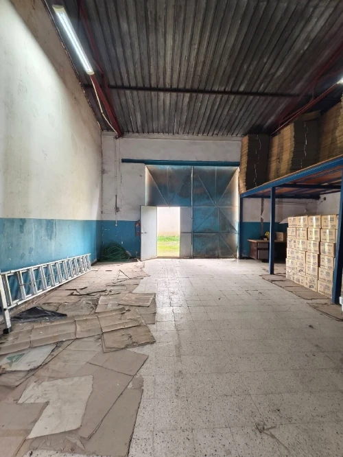 Vente Hangar - Usine Blida Ben khellil
