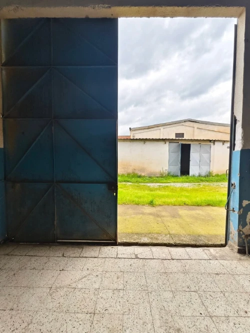 Vente Hangar - Usine Blida Ben khellil