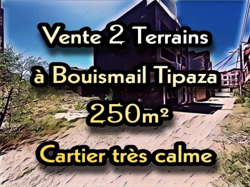 Vente Terrain Tipaza Bou ismail