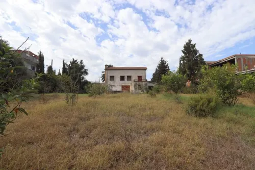 Vente Terrain Tipaza Kolea