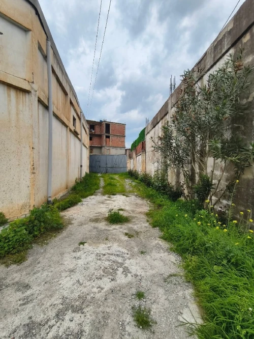 Vente Hangar - Usine Blida Ben khellil