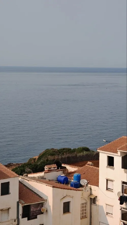 Vente Appartement F3 Tipaza Ain tagourait