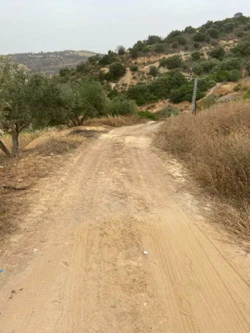 Vente Terrain Agricole Béjaïa Amizour