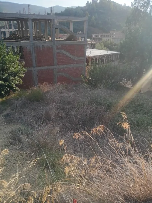 Vente Terrain Béjaïa Bejaia