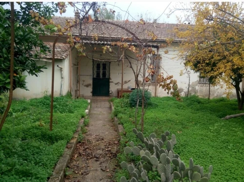 Vente Villa Guelma Guelma