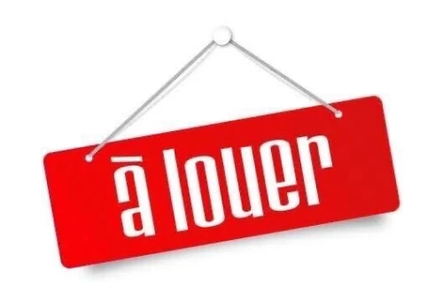 Location Local Alger Bab el oued