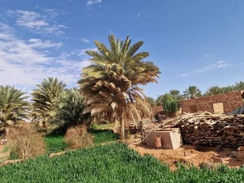 Vente Terrain Timimoun Timimoun