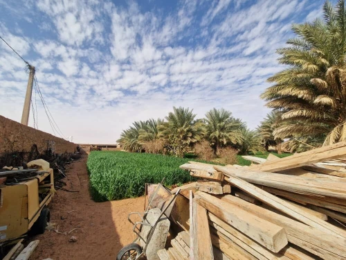 Vente Terrain Timimoun Timimoun