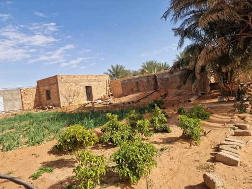 Vente Terrain Timimoun Timimoun