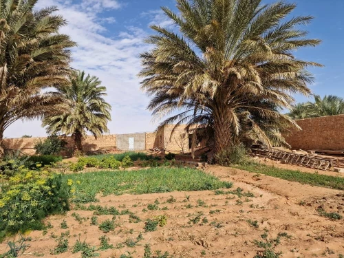 Vente Terrain Timimoun Timimoun