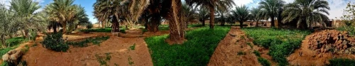 Vente Terrain Timimoun Timimoun
